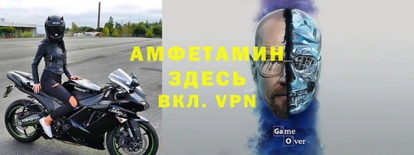 стафф Алексин