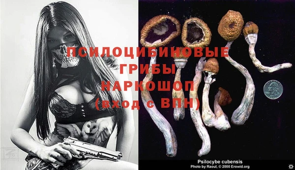 стафф Алексин